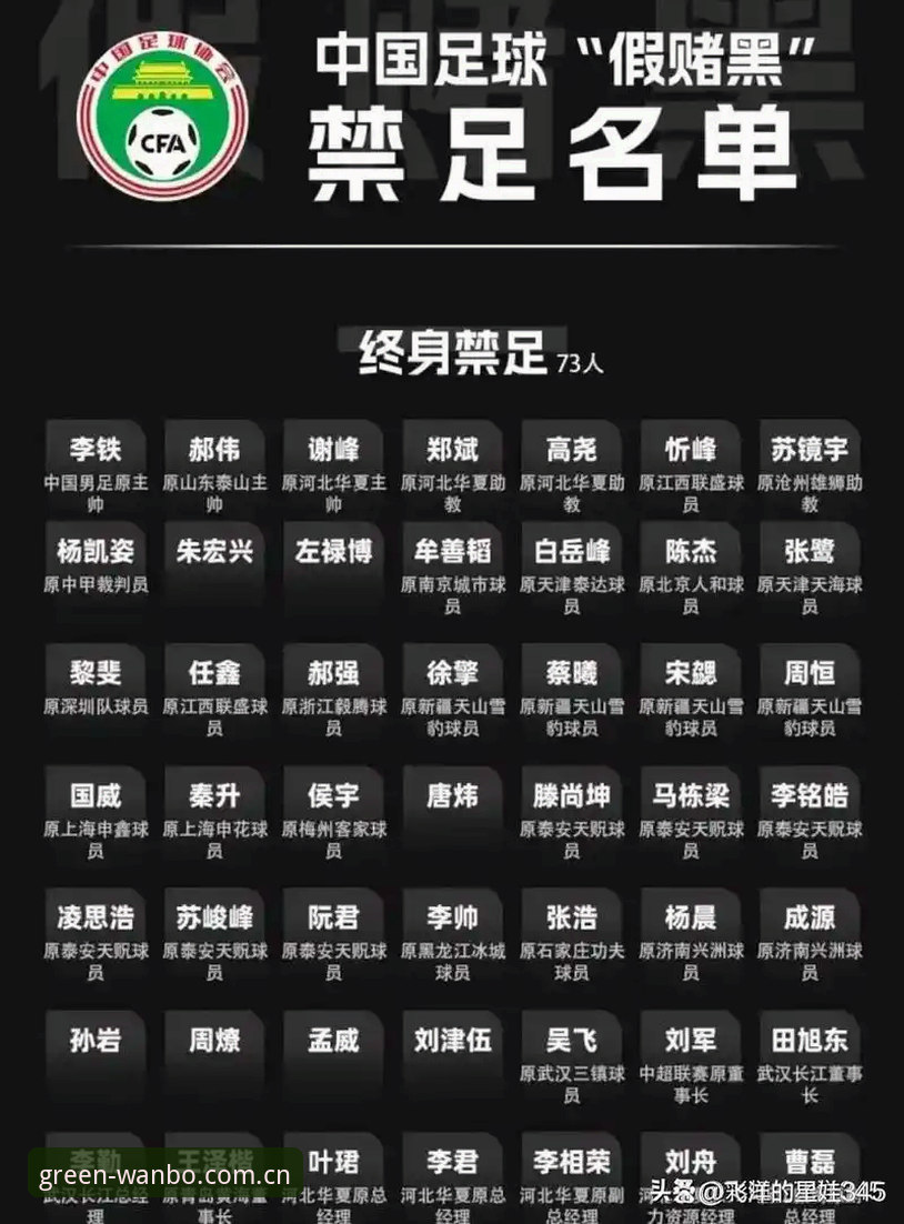 资深用户分享：足协第三批禁足名单使用心得与深度分析